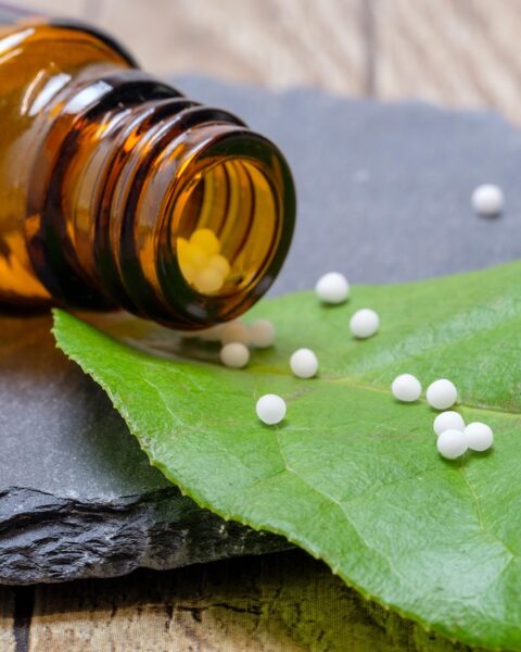 L&rsquo;Odyssée de la Naturopathie : Votre Chemin vers une Carrière Signifiante dans les Médecines Douces